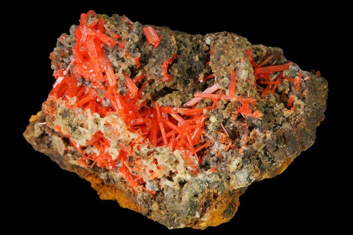 Bright Orange Crocoite Crystal Cluster - Tasmania #171708